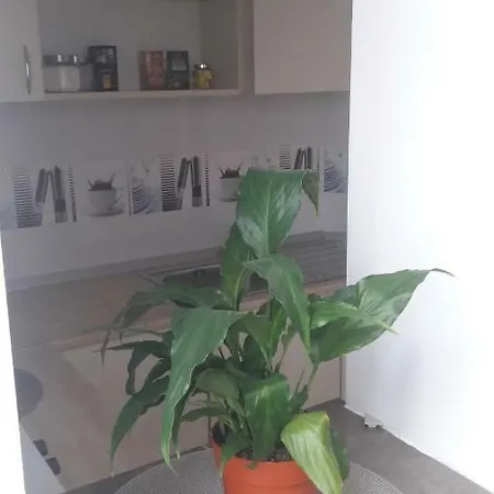 Melody Apartment